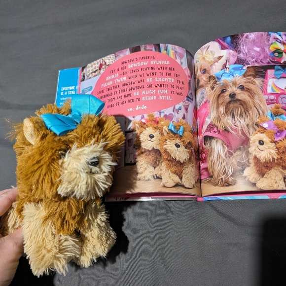 JoJo Siwa book and matching Bow Bow plush Yorkshire terrier - Picture 5 of 10